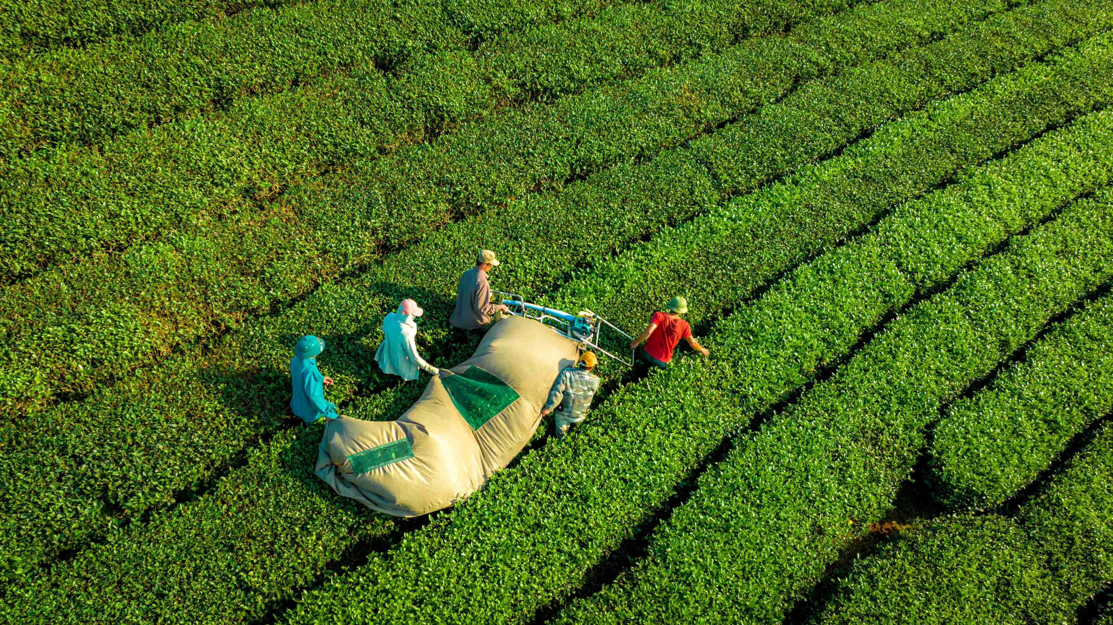 dji-08811-1704421327.jpg
