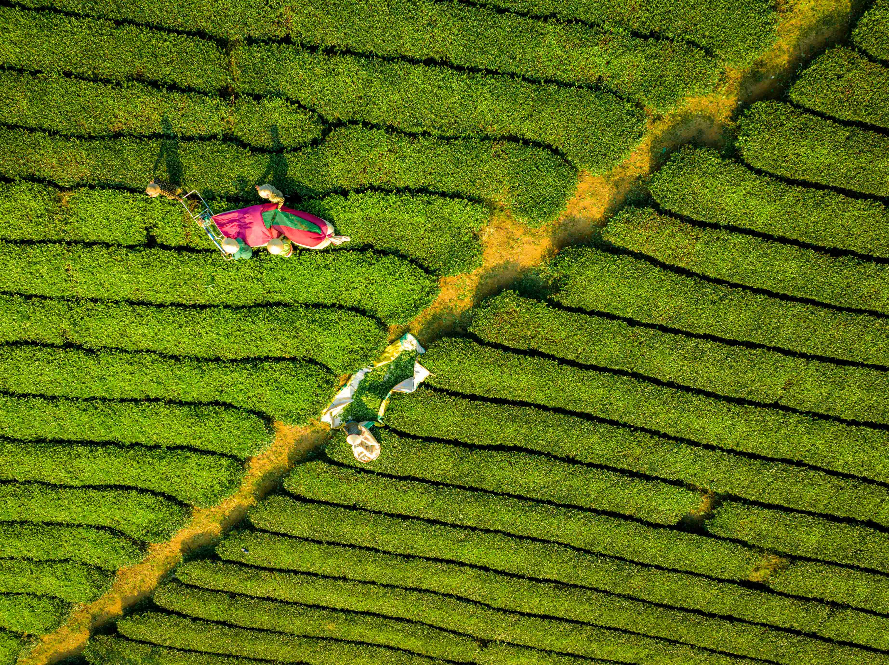 dji-09591-1704421327.jpg