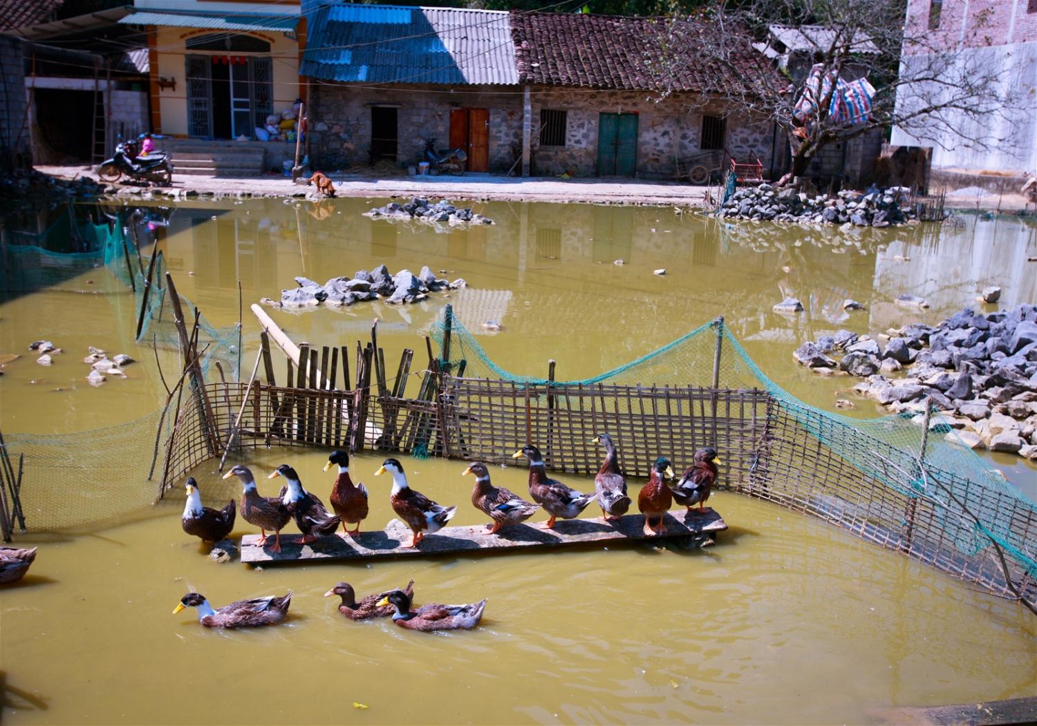 www.VietNamBeauty.com.vn