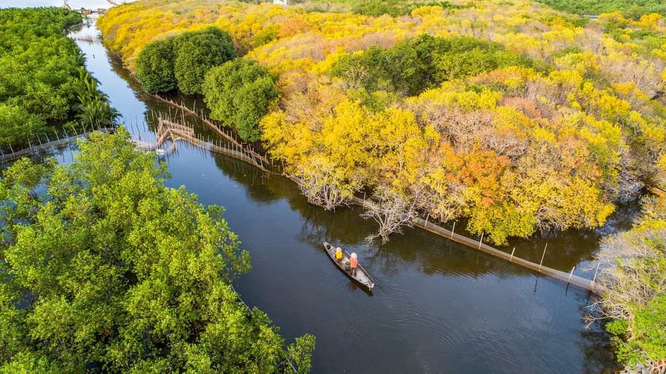 Rú Chá mùa cây thay lá không chỉ có sắc vàng mà thấp thoáng trên mặt nước là những chiếc thuyền cần mẫn cùng người ngư dân đánh bắt trên mặt sông, tạo nên một khung cảnh hữu tình. (Ảnh: VietNam beauty)